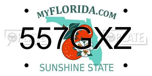 557GXZ Florida License Plate
