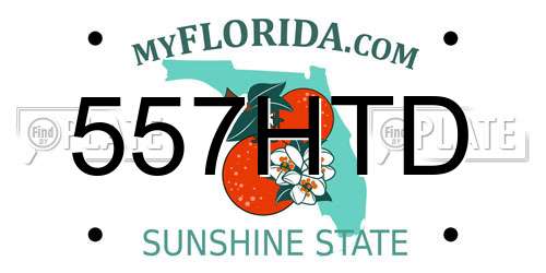 557HTD Florida License Plate