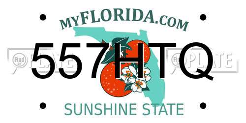 557HTQ Florida License Plate