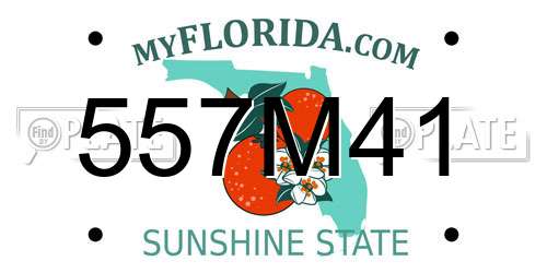 557M41 Florida License Plate