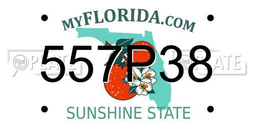 557P38 Florida License Plate