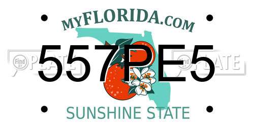 557PE5 Florida License Plate