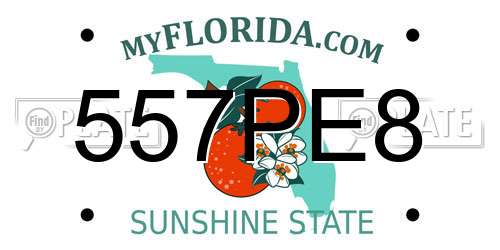 557PE8 Florida License Plate