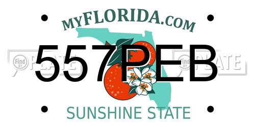 557PEB Florida License Plate