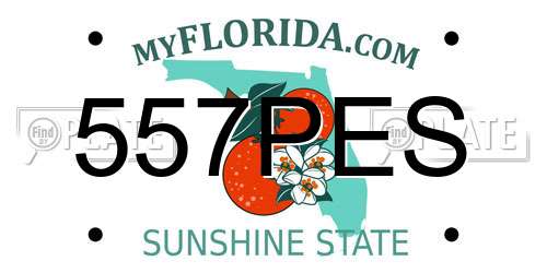 557PES Florida License Plate