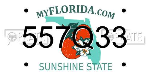 557Q33 Florida License Plate