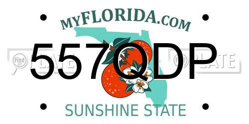 557QDP Florida License Plate