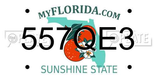 557QE3 Florida License Plate