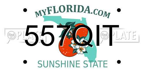 557QIT Florida License Plate