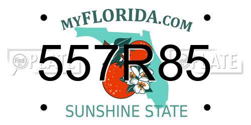 557R85 Florida License Plate