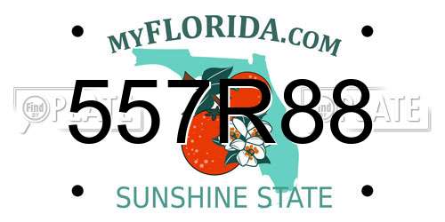 557R88 Florida License Plate