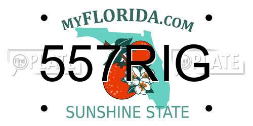 557RIG Florida License Plate
