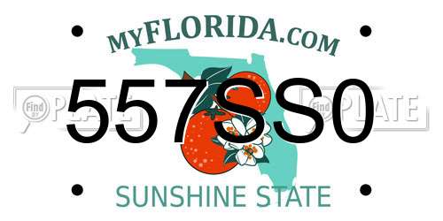 557SS0 Florida License Plate