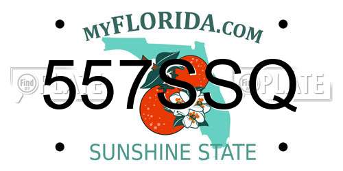 557SSQ Florida License Plate