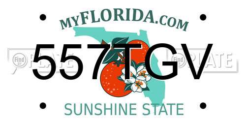 557TGV Florida License Plate