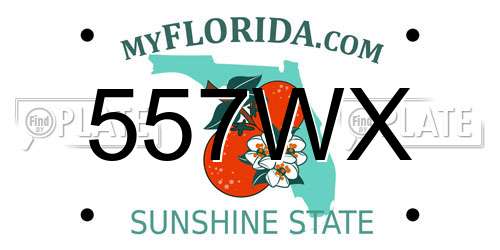 557WX Florida License Plate