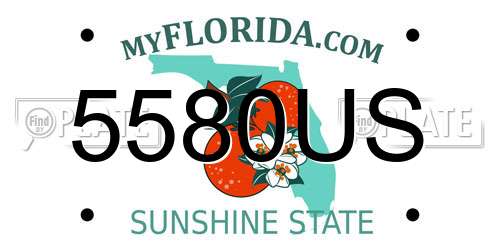 5580US Florida License Plate