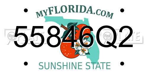 55846Q2 Florida License Plate
