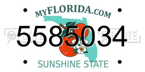5585034 Florida License Plate