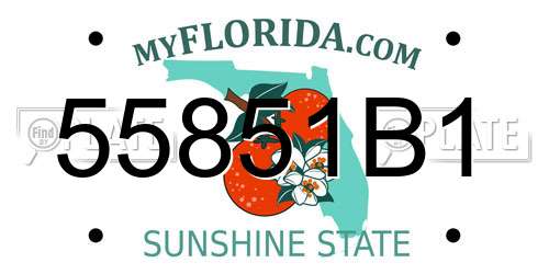 55851B1 Florida License Plate