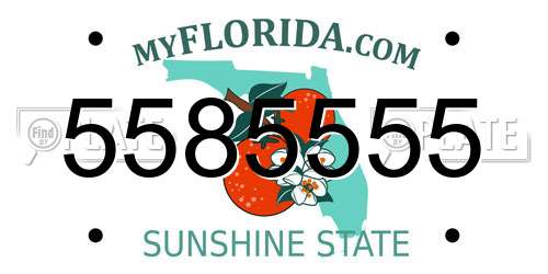 5585555 Florida License Plate