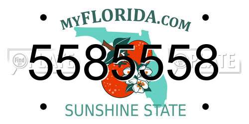 5585558 Florida License Plate