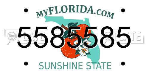 5585585 Florida License Plate