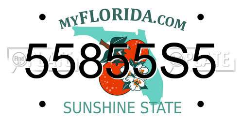 55855S5 Florida License Plate
