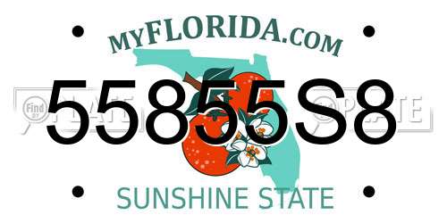 55855S8 Florida License Plate
