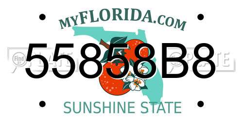 55858B8 Florida License Plate