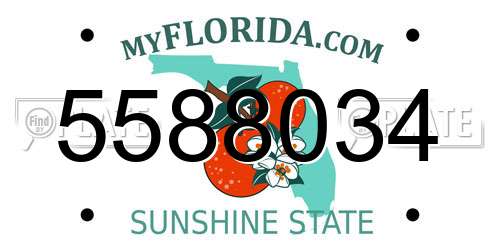 5588034 Florida License Plate