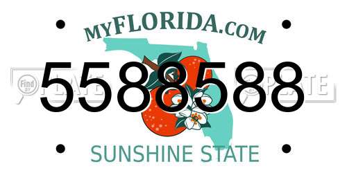 5588588 Florida License Plate