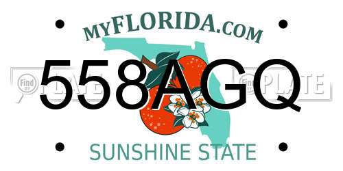 558AGQ Florida License Plate