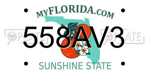 558AV3 Florida License Plate