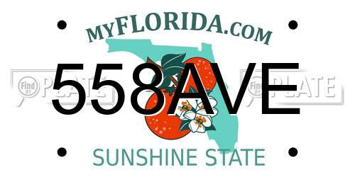 558AVE Florida License Plate