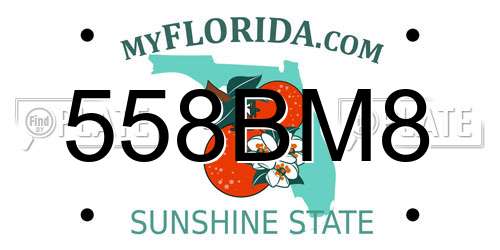 558BM8 Florida License Plate