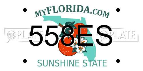 558ES Florida License Plate