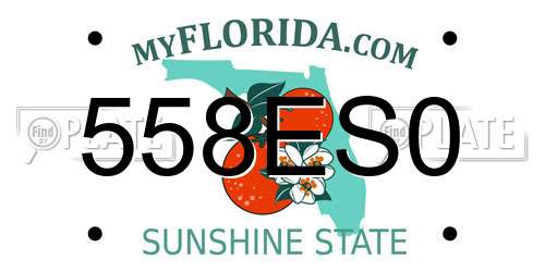 558ES0 Florida License Plate
