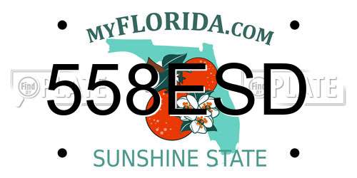 558ESD Florida License Plate