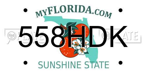 558HDK Florida License Plate