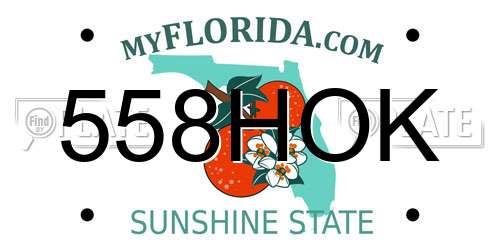 558HOK Florida License Plate
