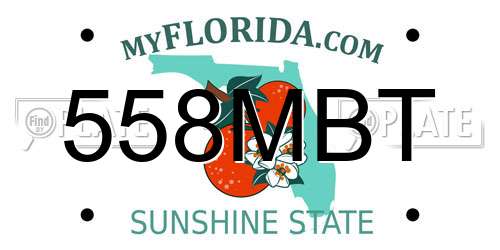 558MBT Florida License Plate