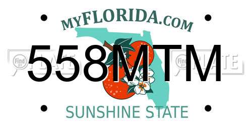 558MTM Florida License Plate