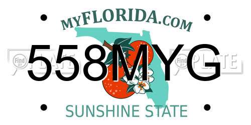 558MYG Florida License Plate