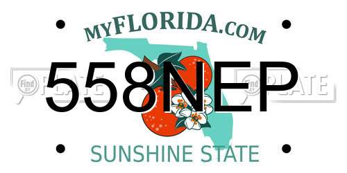 558NEP Florida License Plate