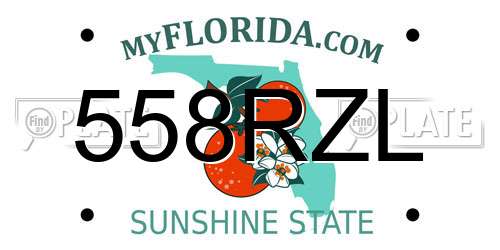 558RZL Florida License Plate