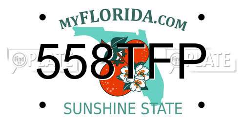 558TFP Florida License Plate