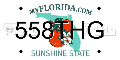 558THG Florida License Plate