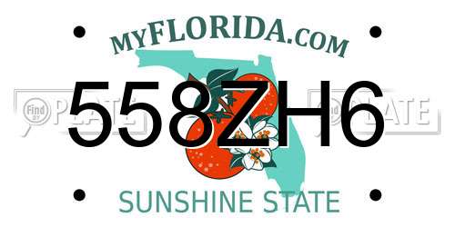 558ZH6 Florida License Plate