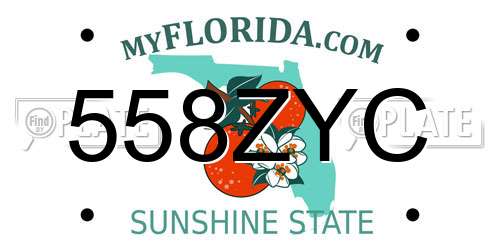 558ZYC Florida License Plate
